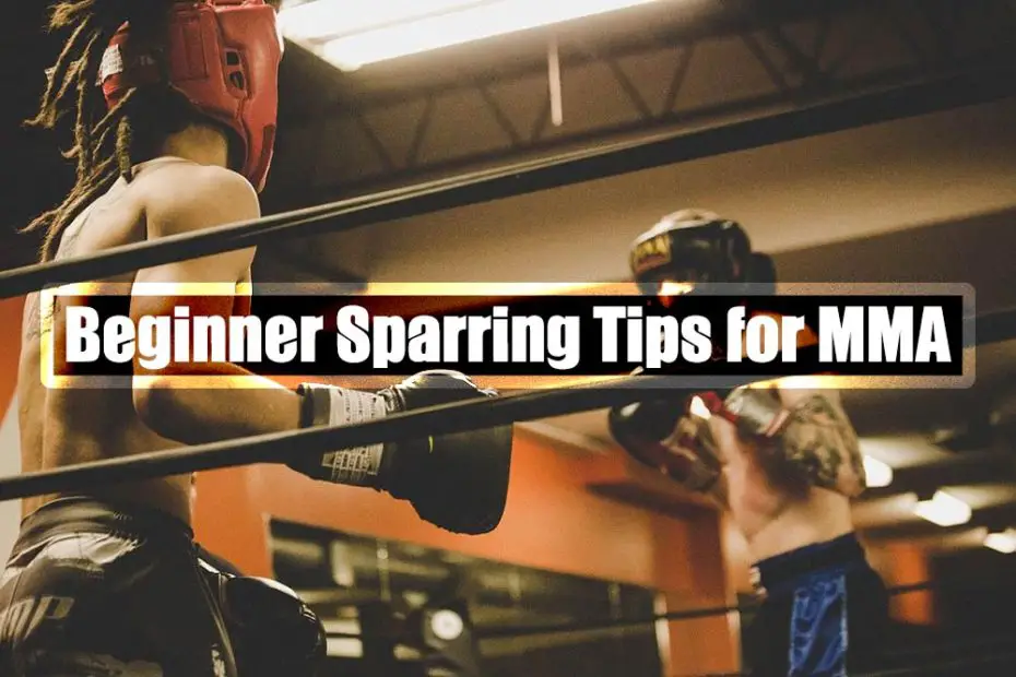 MMA sparring tips for beginners in the sport.