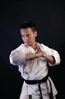 A karate fighter performing elbow strike.