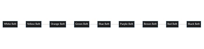 Martial arts belts diagram of belt system.