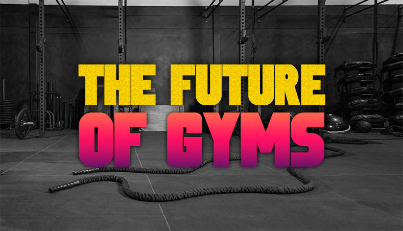 A personal training studio has battle ropes on the floor.